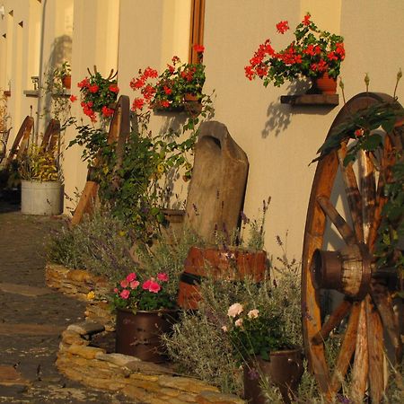 Pokoje Goscinne Skalnik - Agroturystyka Kostřín Exteriér fotografie