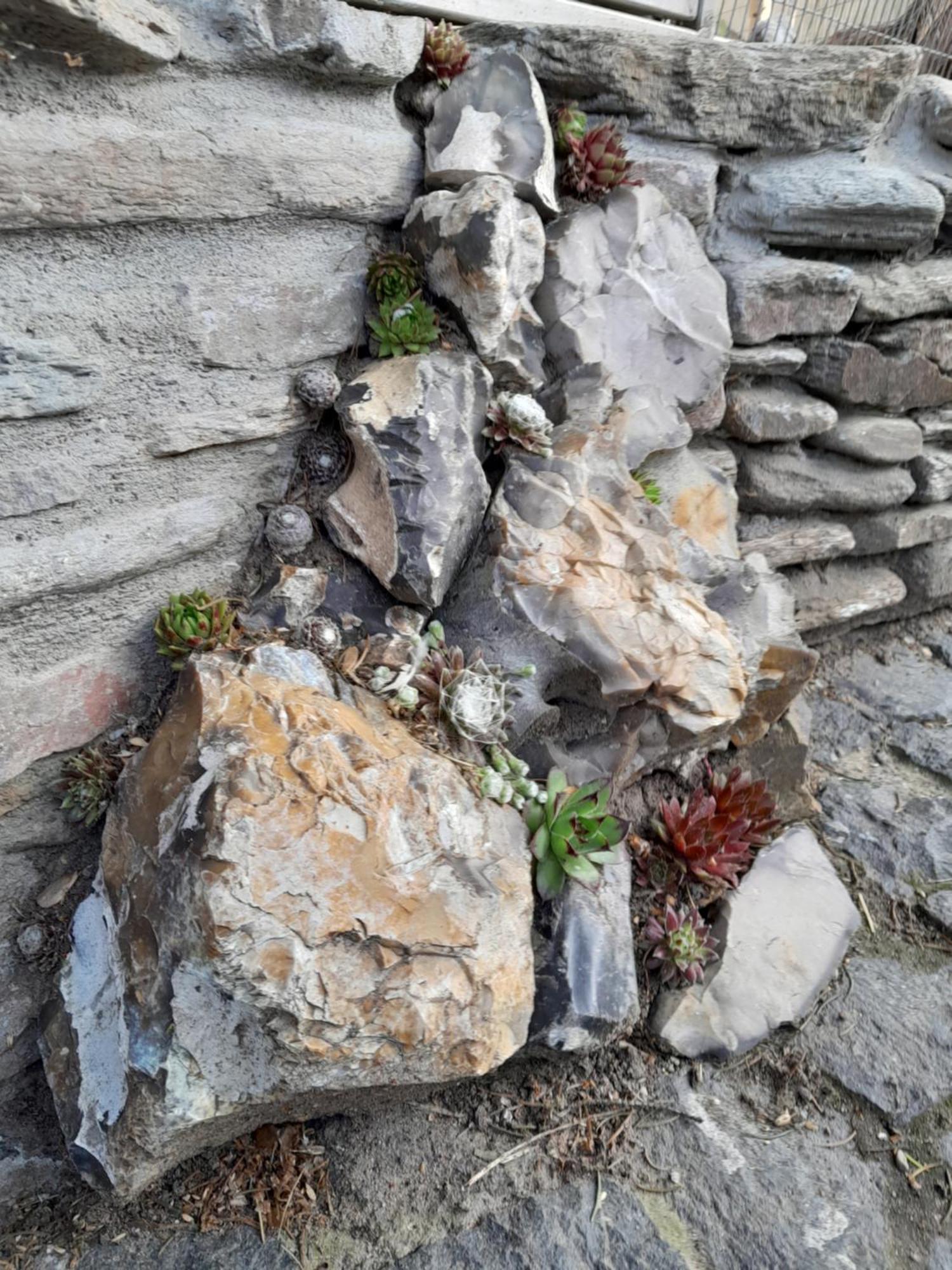 Pokoje Goscinne Skalnik - Agroturystyka Kostřín Exteriér fotografie
