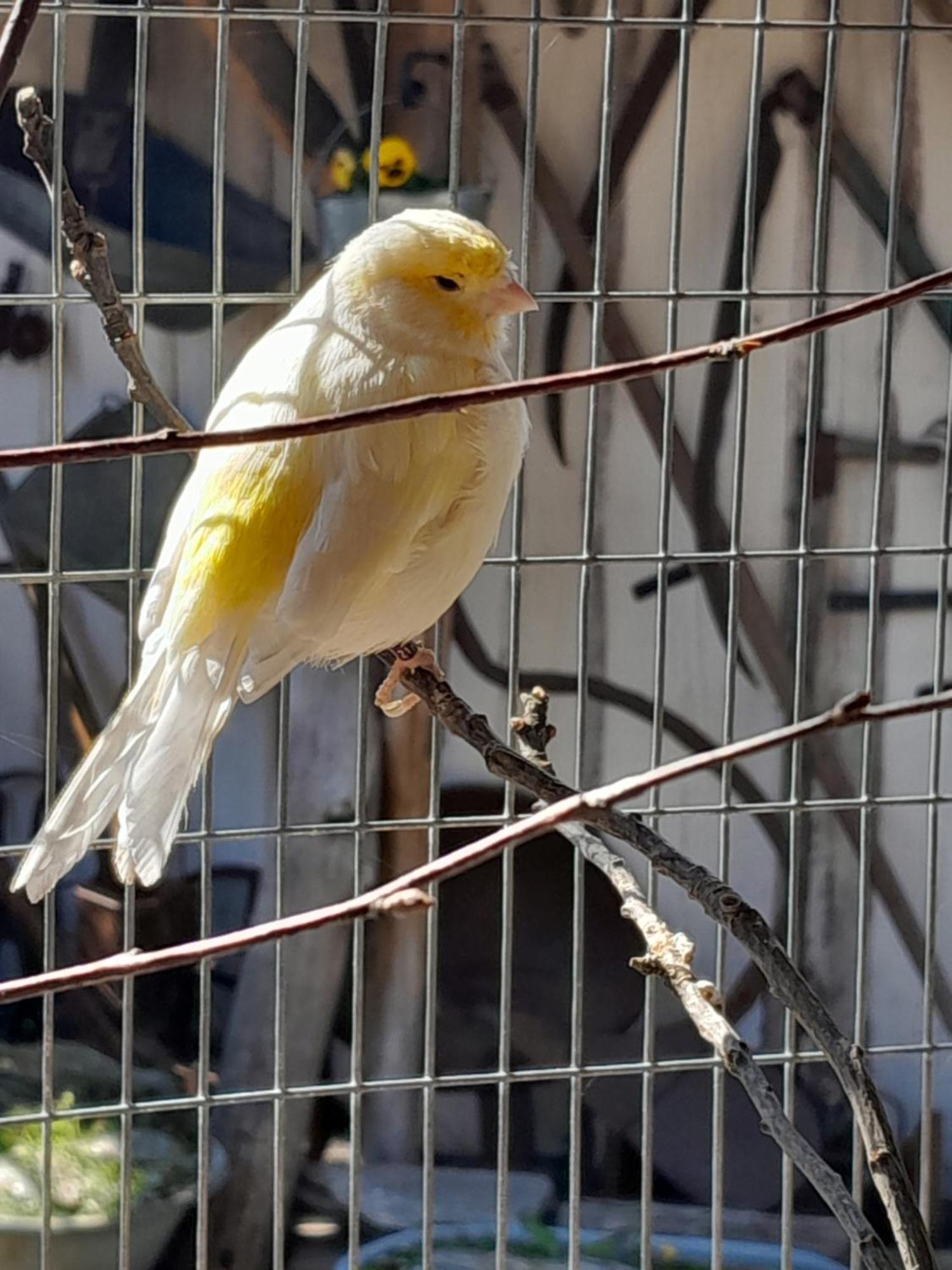 Pokoje Goscinne Skalnik - Agroturystyka Kostřín Exteriér fotografie