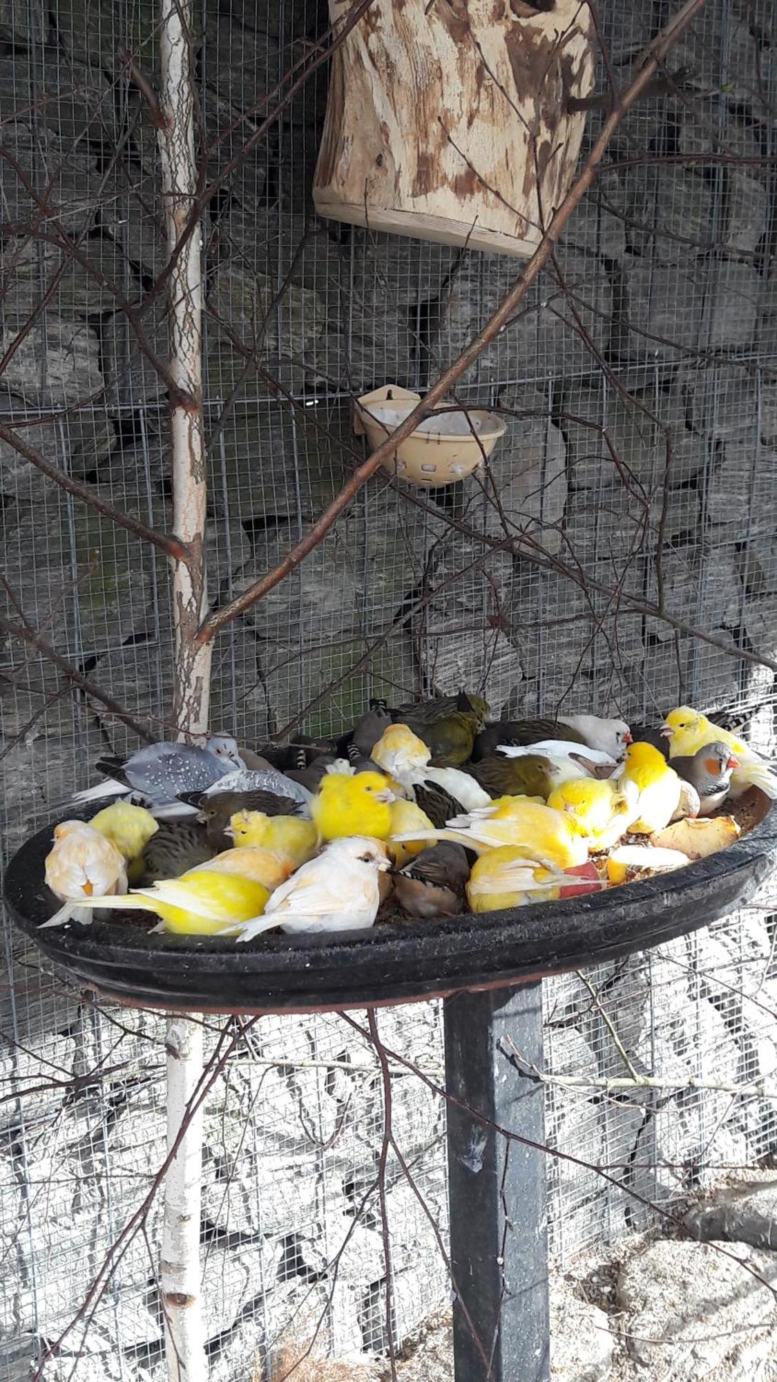 Pokoje Goscinne Skalnik - Agroturystyka Kostřín Exteriér fotografie